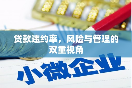 黄南贷款违约率，风险与管理的双重视角
