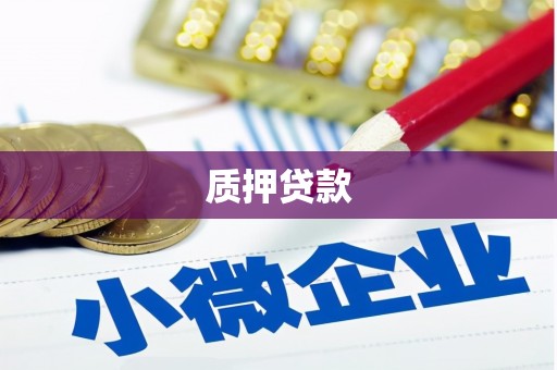 梧州质押贷款