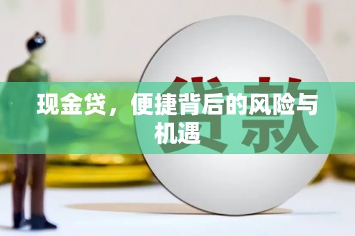 永新现金贷，便捷背后的风险与机遇