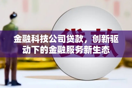 云和金融科技公司贷款，创新驱动下的金融服务新生态
