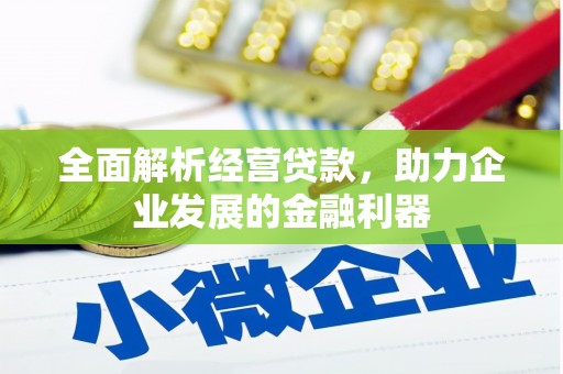 沐川全面解析经营贷款，助力企业发展的金融利器
