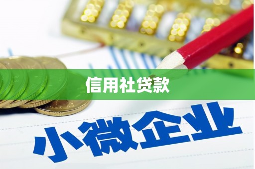 保税港区信用社贷款
