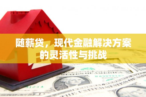 越西随薪贷，现代金融解决方案的灵活性与挑战