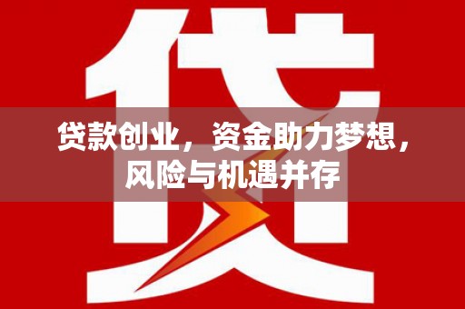 保税港区贷款创业，资金助力梦想，风险与机遇并存
