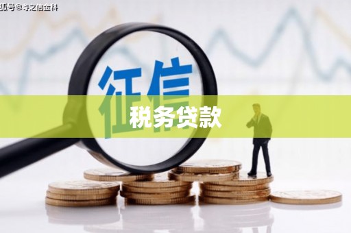 永靖税务贷款