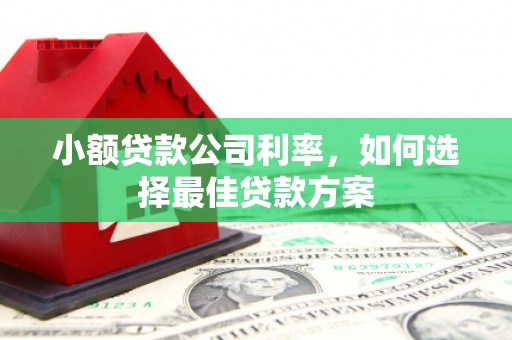 礼县小额贷款公司利率，如何选择最佳贷款方案