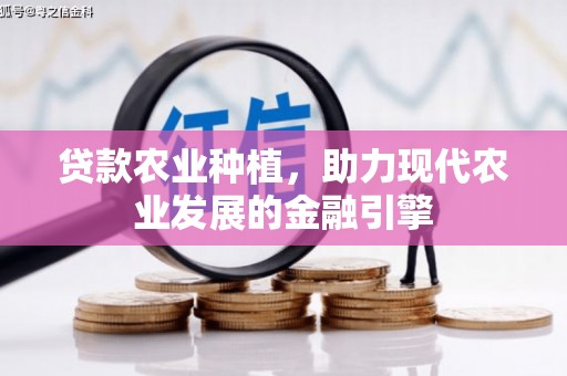 颍上贷款农业种植，助力现代农业发展的金融引擎