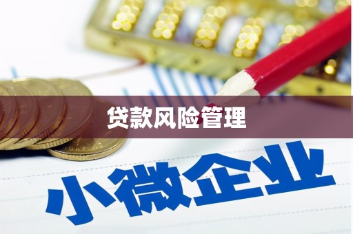 浉河贷款风险管理