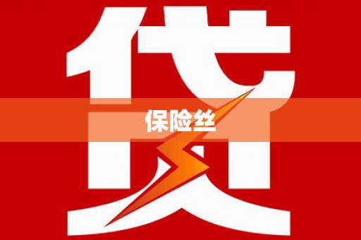 友谊保险丝