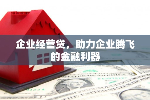 玉树企业经营贷，助力企业腾飞的金融利器