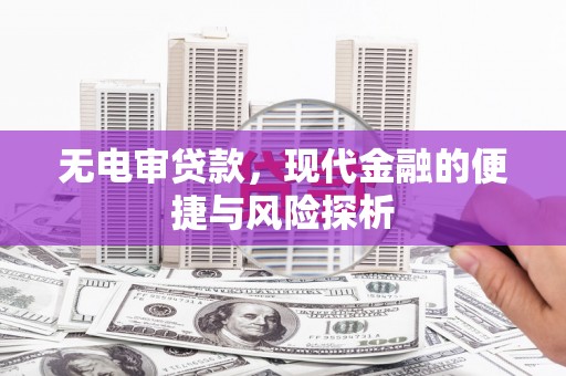 苍南无电审贷款，现代金融的便捷与风险探析