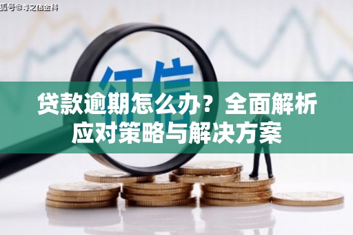 陆川贷款逾期怎么办？全面解析应对策略与解决方案