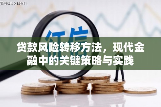 虾峙贷款风险转移方法，现代金融中的关键策略与实践