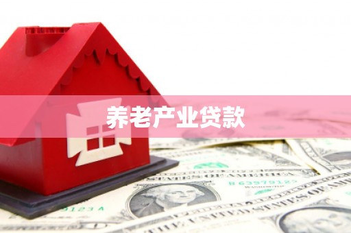 全州养老产业贷款