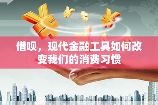 岳塘借呗，现代金融工具如何改变我们的消费习惯