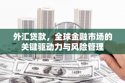 麦寮外汇贷款，全球金融市场的关键驱动力与风险管理