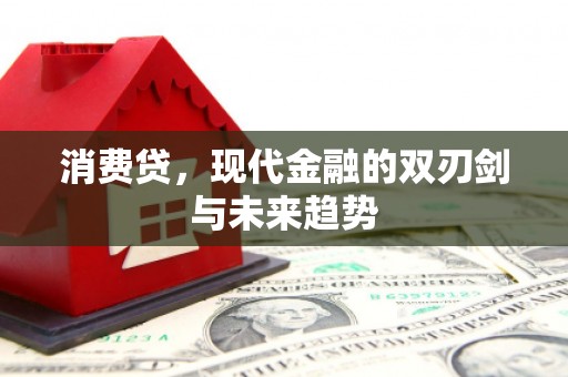 文安消费贷，现代金融的双刃剑与未来趋势
