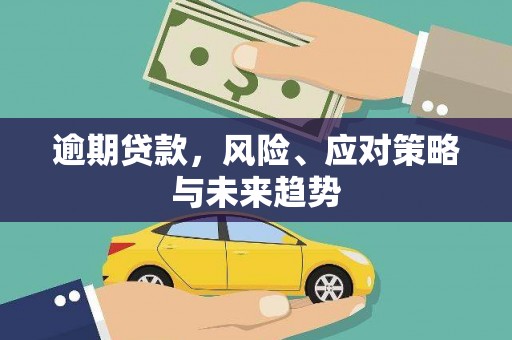 八宿逾期贷款，风险、应对策略与未来趋势