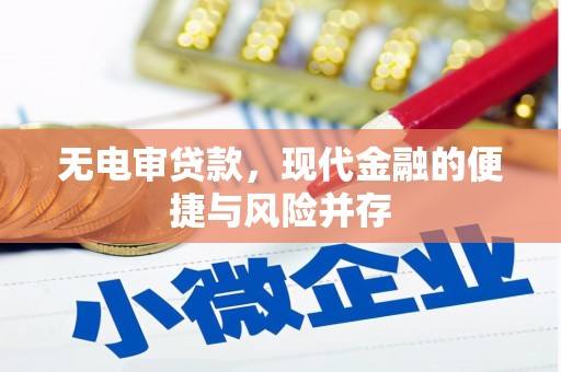临潼无电审贷款，现代金融的便捷与风险并存
