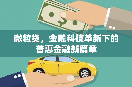 鹤岗微粒贷，金融科技革新下的普惠金融新篇章