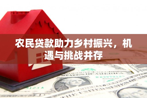 阜新农民贷款助力乡村振兴，机遇与挑战并存