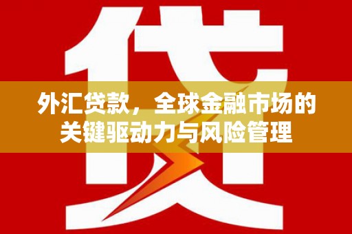乌来外汇贷款，全球金融市场的关键驱动力与风险管理