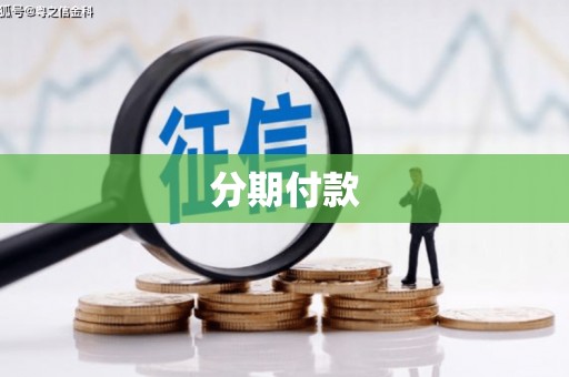 盐湖分期付款
