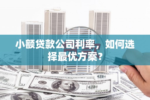 盐津小额贷款公司利率，如何选择最优方案？