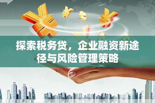 黔西探索税务贷，企业融资新途径与风险管理策略