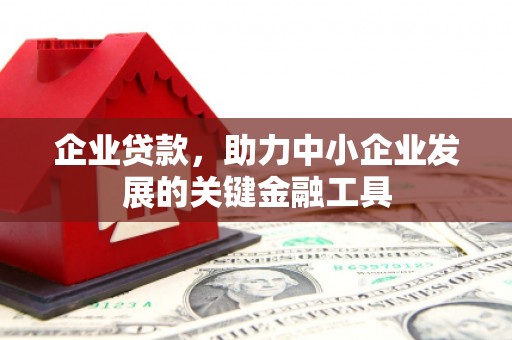 西吉企业贷款，助力中小企业发展的关键金融工具