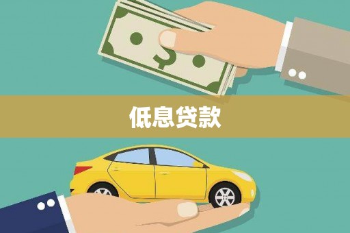 西和低息贷款