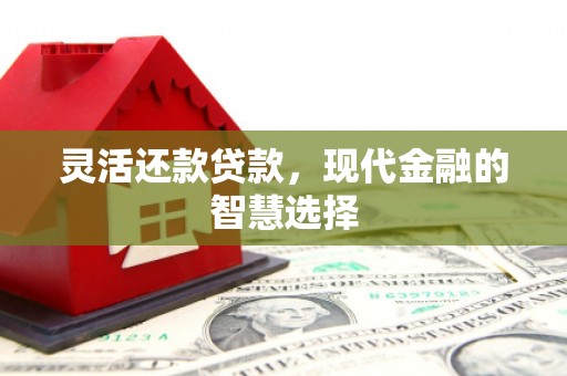 巴里坤灵活还款贷款，现代金融的智慧选择