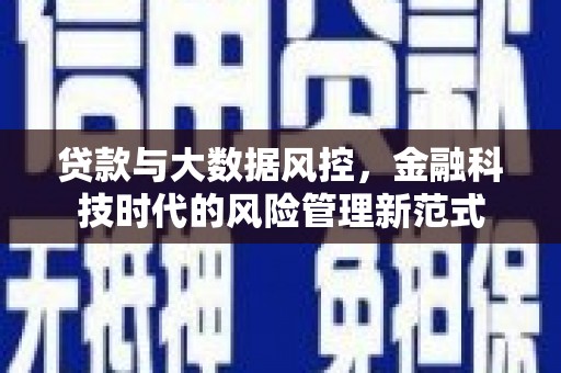 民雄贷款与大数据风控，金融科技时代的风险管理新范式