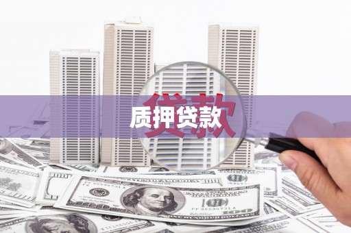 乐东质押贷款