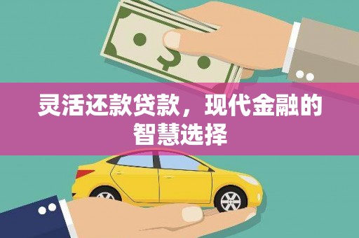 共和灵活还款贷款，现代金融的智慧选择