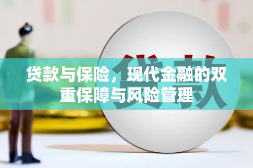 新蔡贷款与保险，现代金融的双重保障与风险管理