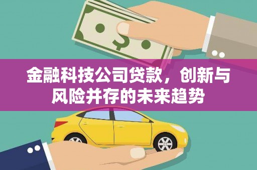 舞阳金融科技公司贷款，创新与风险并存的未来趋势