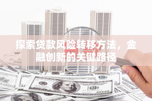 大林探索贷款风险转移方法，金融创新的关键路径