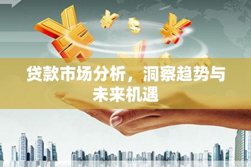 楠西贷款市场分析，洞察趋势与未来机遇