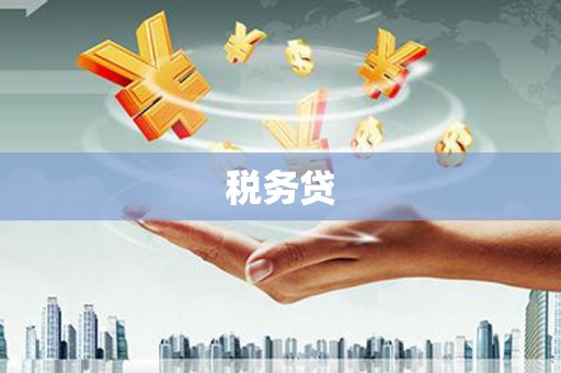 寿丰税务贷
