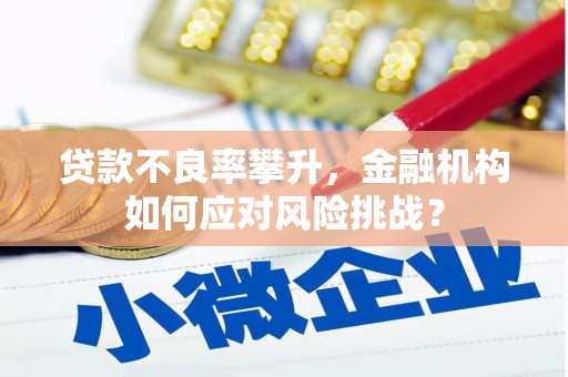 济源贷款不良率攀升，金融机构如何应对风险挑战？