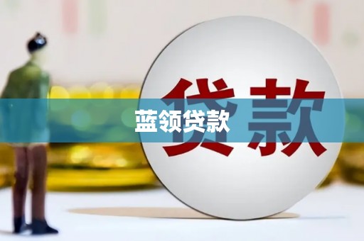 通山蓝领贷款