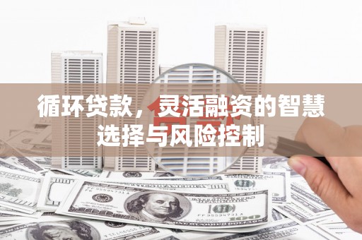 官渡循环贷款，灵活融资的智慧选择与风险控制