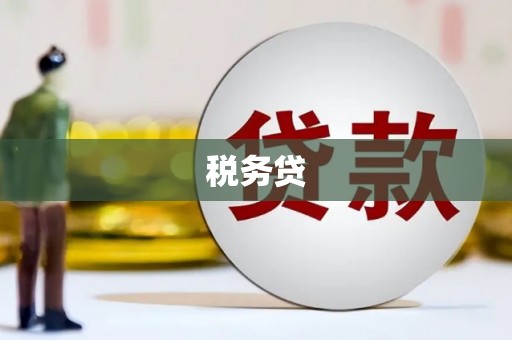 阿克陶税务贷