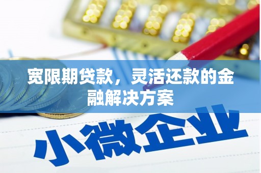 关西宽限期贷款，灵活还款的金融解决方案