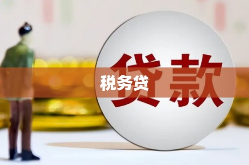 苑里税务贷