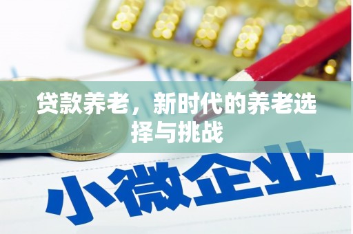 松溪贷款养老，新时代的养老选择与挑战