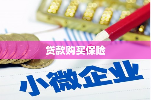 临邑贷款购买保险