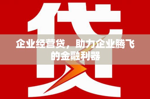 黄大仙企业经营贷，助力企业腾飞的金融利器