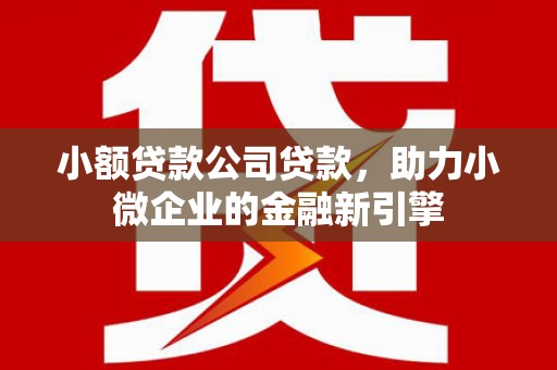 正安小额贷款公司贷款，助力小微企业的金融新引擎